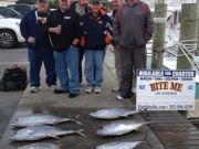 Bite Me Sportfishing Charters, Yellowfins Too!