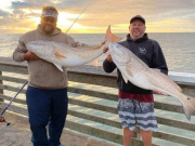 TW’s Bait & Tackle, Tw’s Daily Fishing Report