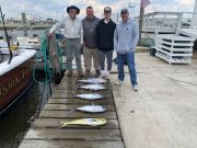 Fishin' Fannatic, Great Week of Fishing for both Offshore and Inshore