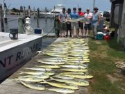 OBX Bait & Tackle Corolla Outer Banks, Corolla Fish Report