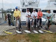 OBX Bait & Tackle Corolla Outer Banks, Corolla Fish Report