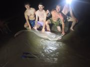 OBX Bait & Tackle Corolla Outer Banks, Corolla Fish Report