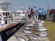 OBX Bait & Tackle Corolla Outer Banks, Corolla Fishing Report