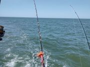 Sea Hunter 2 Sportfishing Charters, Beautiful fishing day