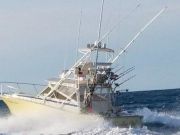 OBX Bait & Tackle Corolla Outer Banks, Corolla Fishing Report