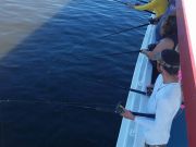 Miss Oregon Inlet II Head Boat Fishing, Fishing! Fishing! Fishing!