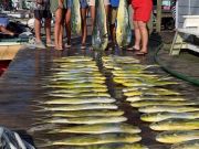 Pirate's Cove Marina, FISHING IS OFF THE HOOK!!