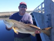 blow toads Archives ⋆ Hatteras Island Fishing Report