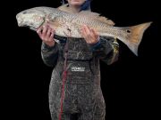Oceans East Bait & Tackle Nags Head, Some Black Drum Being Caught
