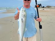 TW’s Bait & Tackle, Monster 34.5" Bluefish