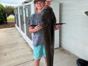 TW’s Bait & Tackle, It's Cobia Time