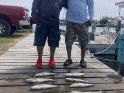 Fishing Unlimited Outer Banks Boat Rentals, Surf and Pier Fishing Has Slowed