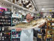 TW’s Bait & Tackle, Monster Speckled Trout