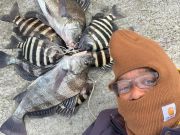 TW’s Bait & Tackle, Striper Around The Bridges