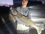 TW’s Bait & Tackle, Speckled Trout and Puppy Drum