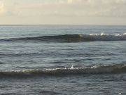 Outer Banks Boarding Company, Saturday August 6th