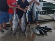 Phideaux Fishing, still catching tuna