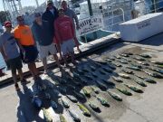 Phideaux Fishing, Dolphin and Tuna are Biting