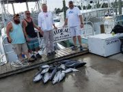 Phideaux Fishing, Big pile of small tunas