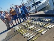 Outer Banks Fishing Charters, Dolphin Grass