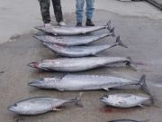 Outer Banks Fishing Charters, Great wahoo fishing