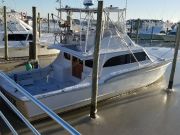 Outer Banks Fishing Charters, Iced in