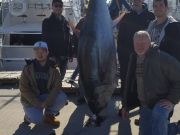 Phideaux Fishing Charters Outer Banks, Nice Bue fin