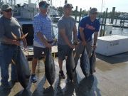 Phideaux Fishing Charters Outer Banks, Kevins' crew was awesome