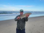 OBX Bait & Tackle Corolla Outer Banks, Corolla Fish Report