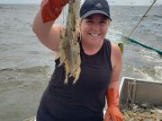 Hallie M Shrimping Charters, Catching Shrimp!