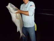 OBX Bait & Tackle Corolla Outer Banks, Corolla Fish Report