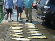 Hatteras Harbor Marina, The Weather & Fishing are Heating Up!