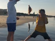 OBX Bait & Tackle Corolla Outer Banks, Corolla Fish Report