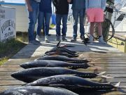 Outer Banks Fishing Charters, They finally bit!!