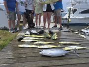 Outer Banks Fishing Charters, Fun Day