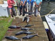 Outer Banks Fishing Charters, Great fishing continues!!