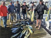 Phideaux Fishing Charters Outer Banks, Still Great Mahi Fishing