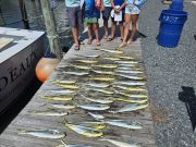 Phideaux Fishing Charters Outer Banks, Fantastic Day!