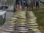 True Grit Sportfishing, Excellent Day