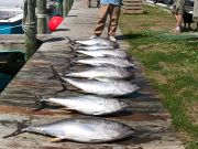 True Grit Sportfishing, Getting It Done
