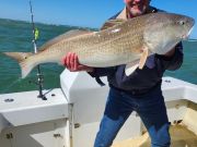Gecko Sportfishing, Inshore