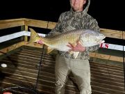 TW’s Bait & Tackle, When they’re biting, we’re catching!