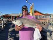 Fishing Unlimited Outer Banks Boat Rentals, Fishing Lately