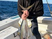 Oceans East Bait & Tackle Nags Head, Thursdays are for Tuna