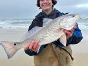Oceans East Bait & Tackle Nags Head, Successful Soundside Fishing
