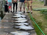 True Grit Sportfishing, June Tuna