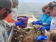 Risky Business Shrimping & Crabbing Charters, Shrimp & Crabs are Still Here!