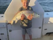 Gecko Sportfishing, Available for Inshore or Offshore Fishing!