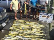 Bite Me Sportfishing Charters, Mahi Memories
