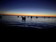 Gecko Sportfishing, Curtain Blind Openings